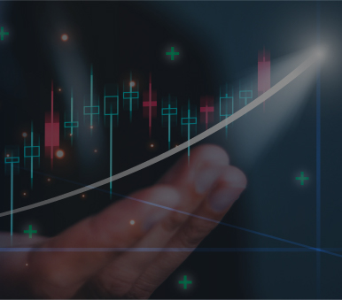 Investors & Stakeholders